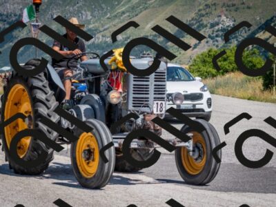 202507061050-DSC_4619_c2