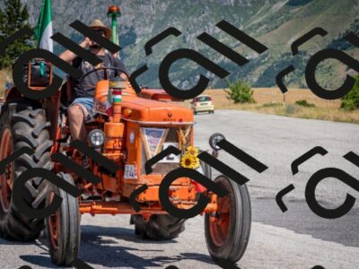 202507061051-DSC_4629_c2