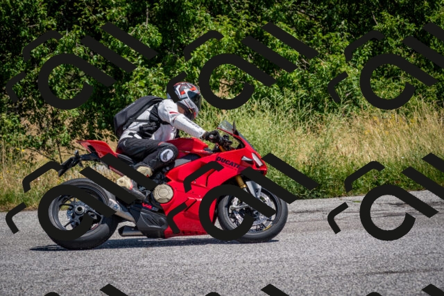 202507061203-DSC_5228-2_c2