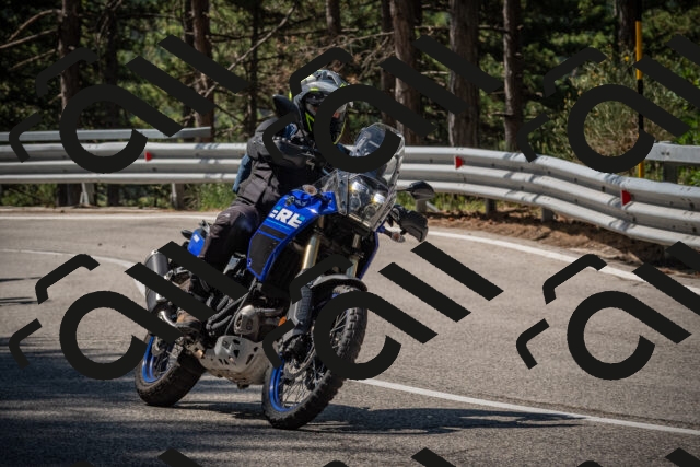 20250707104029-_5009692_am_