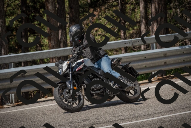 20250707104534-_5009747_am_