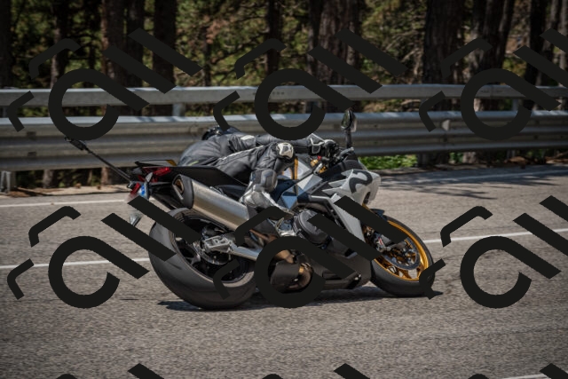 20250707120108-_5000847_am_