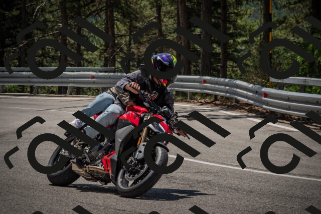 20250707120438-_5000930_am_