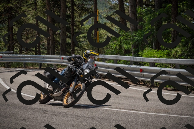 20250707120654-_5000961_am_