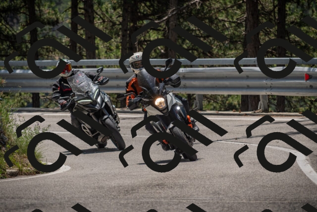 20250707121013-_5000980_am_