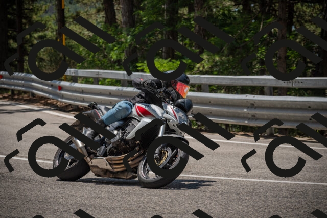 20250707121239-_5001044_am_