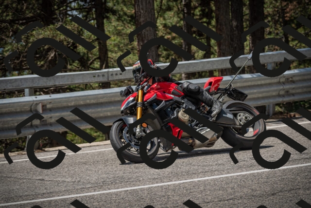 20250707122300-_5001271_am_