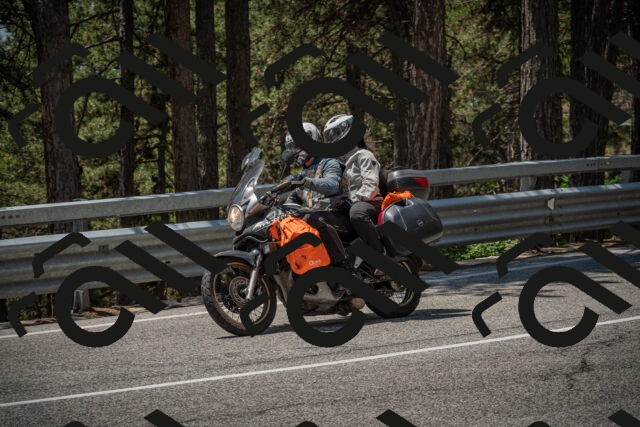 20250707124308-_5001492_am_