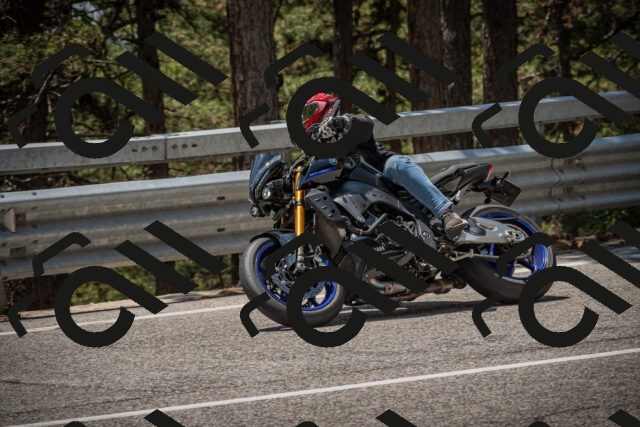 20250707124334-_5001500_am_