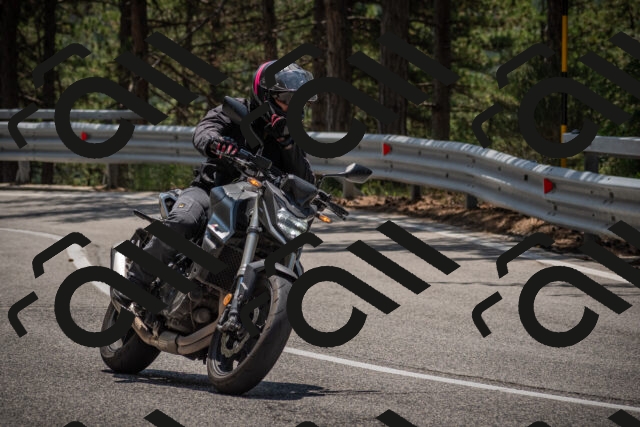 20250707124507-_5001514_am_