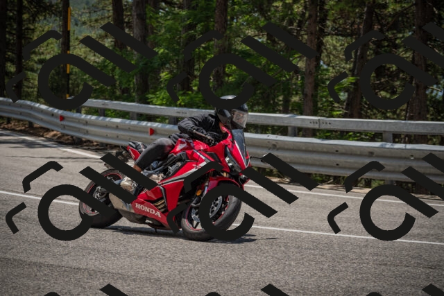 20250707125030-_5001598_am_