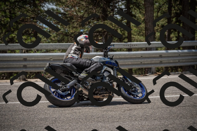 20250707125140-_5001641_am_