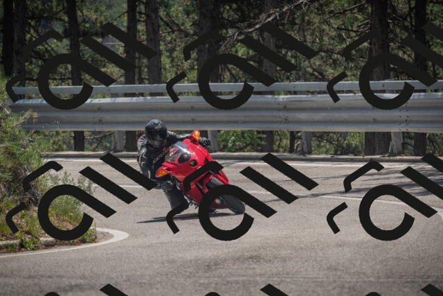 20250707125200-_5001642_am_