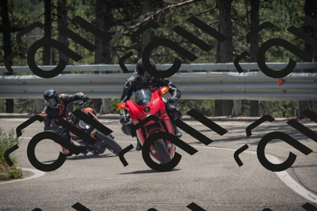 20250707125201-_5001644_am_