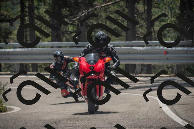 20250707125201-_5001645_am_