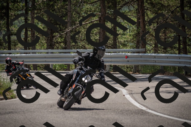 20250707125344-_5001678_am_