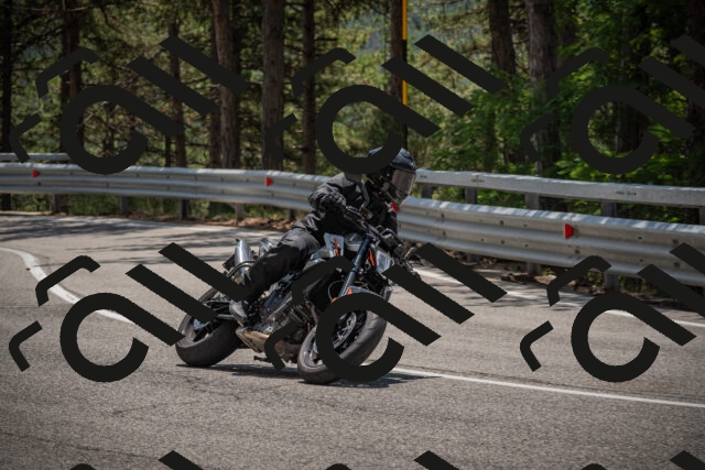 20250707125344-_5001679_am_