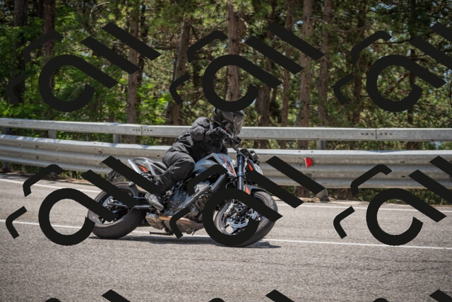 20250707125345-_5001680_am_