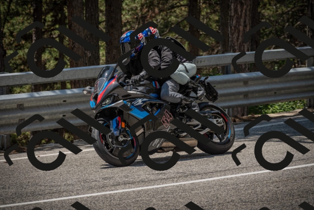 20250707125653-_5001730_am_