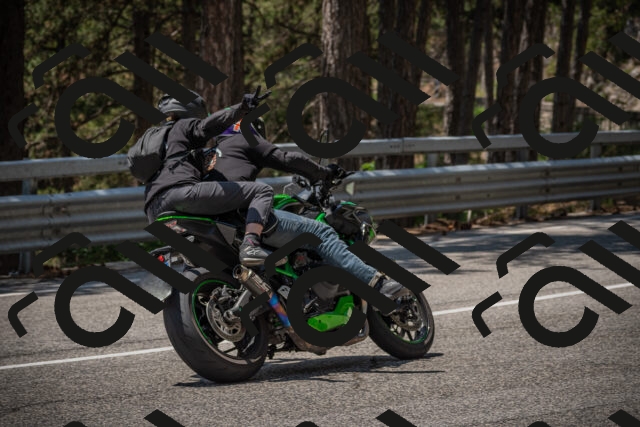 20250707125655-_5001735_am_