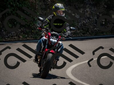 202507051313-_DSC0449_d2_