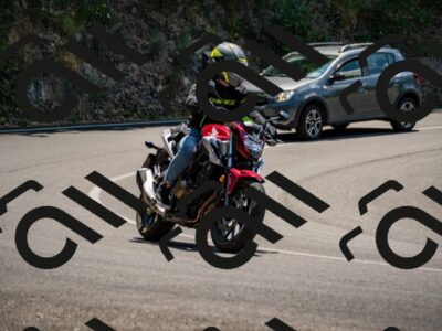 202507051313-_DSC0450_d2_