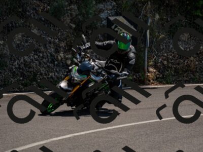 202507051359-_DSC0599_d2_