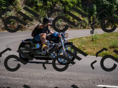 202507051444-_DSC0761_d2_