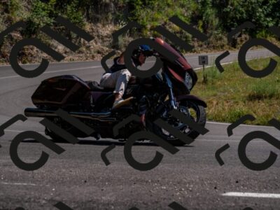 202507051513-_DSC0871_d2_