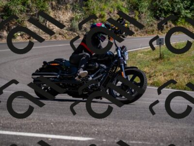 202507051555-_DSC1039_d2_