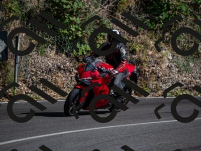 202507051651-_DSC1319_d2_