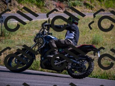 202507051703-_DSC1404_d2_