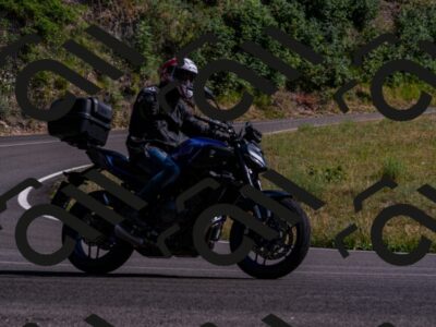 202507051708-_DSC1421_d2_