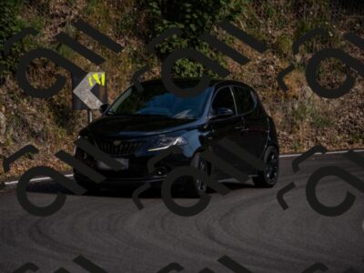 202507051713-_DSC1446_d2_