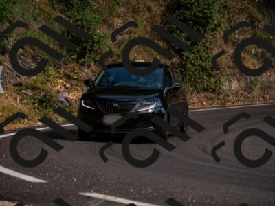 202507051713-_DSC1447_d2_