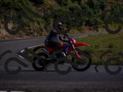 202507051713-_DSC1450_d2_