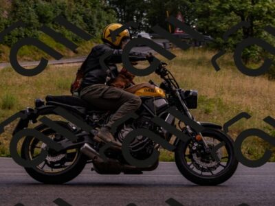 202507051745-_DSC1786_d2_