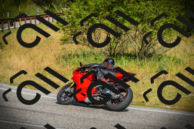 202507051006-DSC04909_c1_