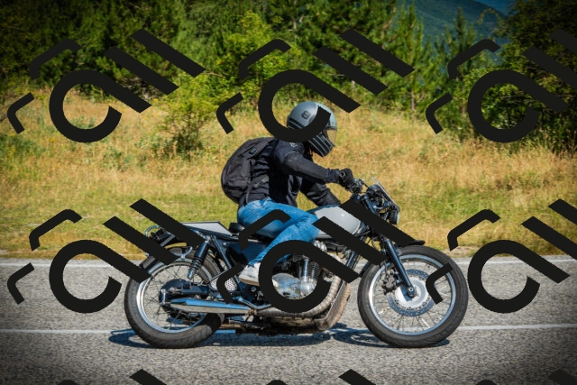 202507051014-DSC04931_c1_