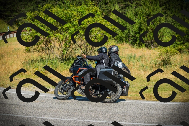 202507051015-DSC04941_c1_