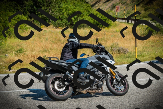 202507051015-DSC04945_c1_