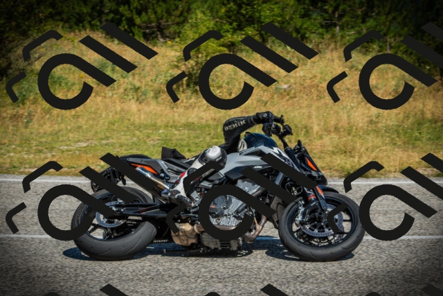 202507051019-DSC04957_c1_