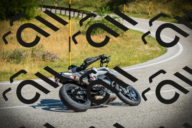 202507051019-DSC04958_c1_