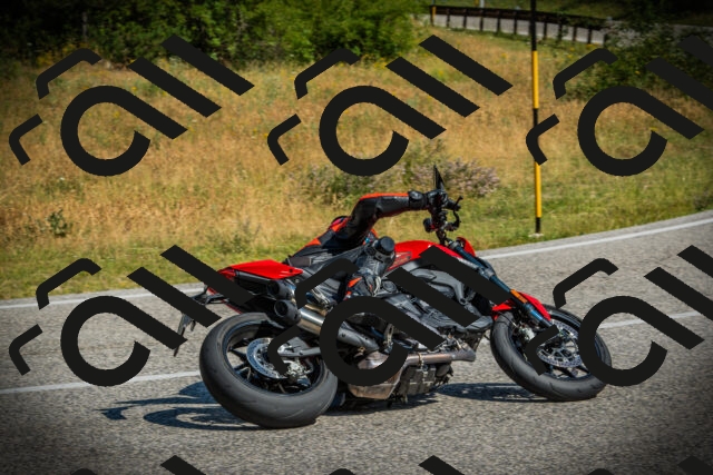 202507051019-DSC04959_c1_