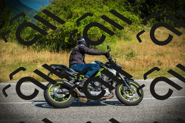 202507051019-DSC04966_c1_