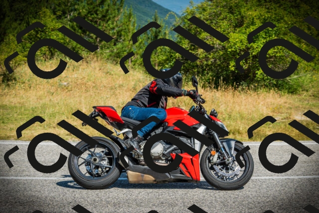 202507051019-DSC04968_c1_