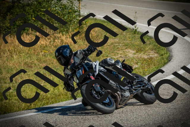 202507051020-DSC04983_c1_