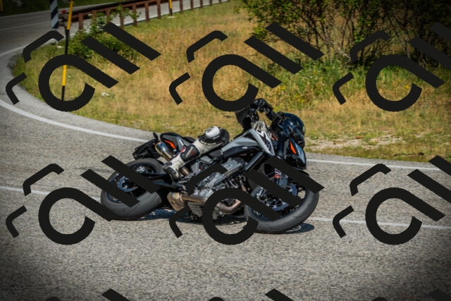 202507051021-DSC04990_c1_