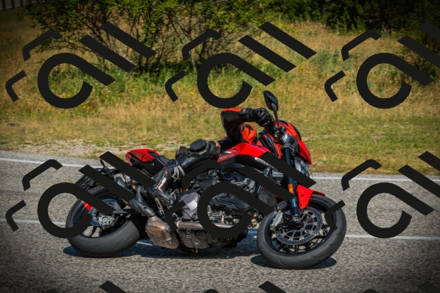 202507051021-DSC04991_c1_