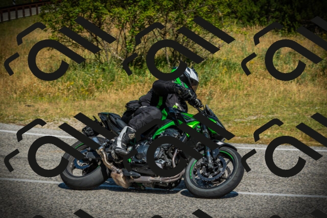 202507051024-DSC05016_c1_